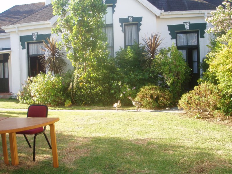 KeHa_in_South_Africa - 008